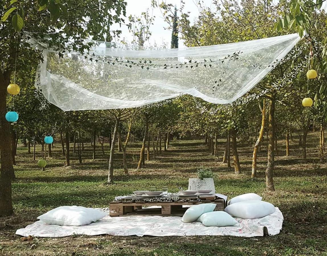 La Casa Di Arianna Bed & Breakfast กาโซเล เดลซา ภายนอก รูปภาพ